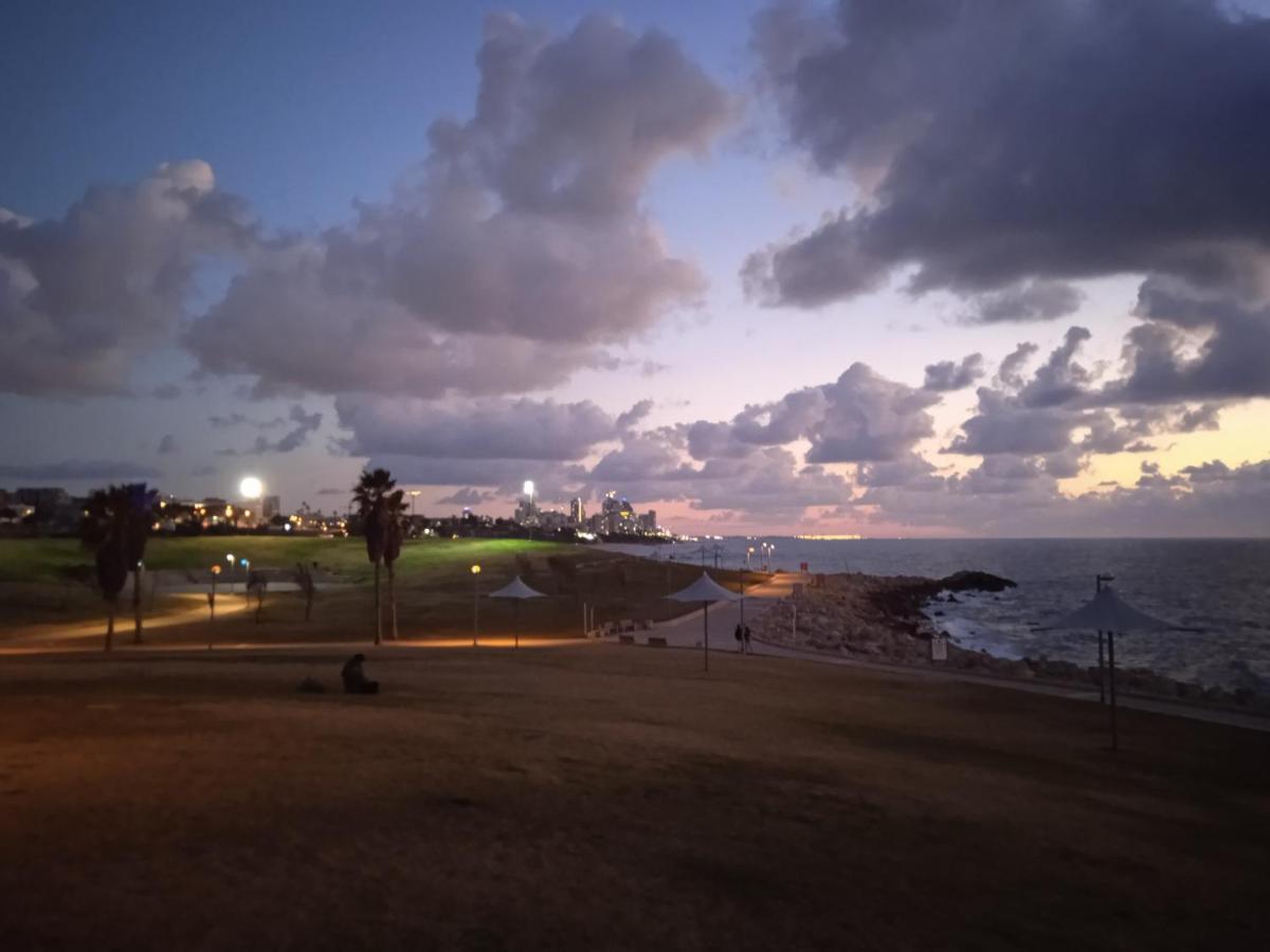 Jaffa Getaway Sea Front, Luxury Duplex, Port & Old 2m Walk Apartment